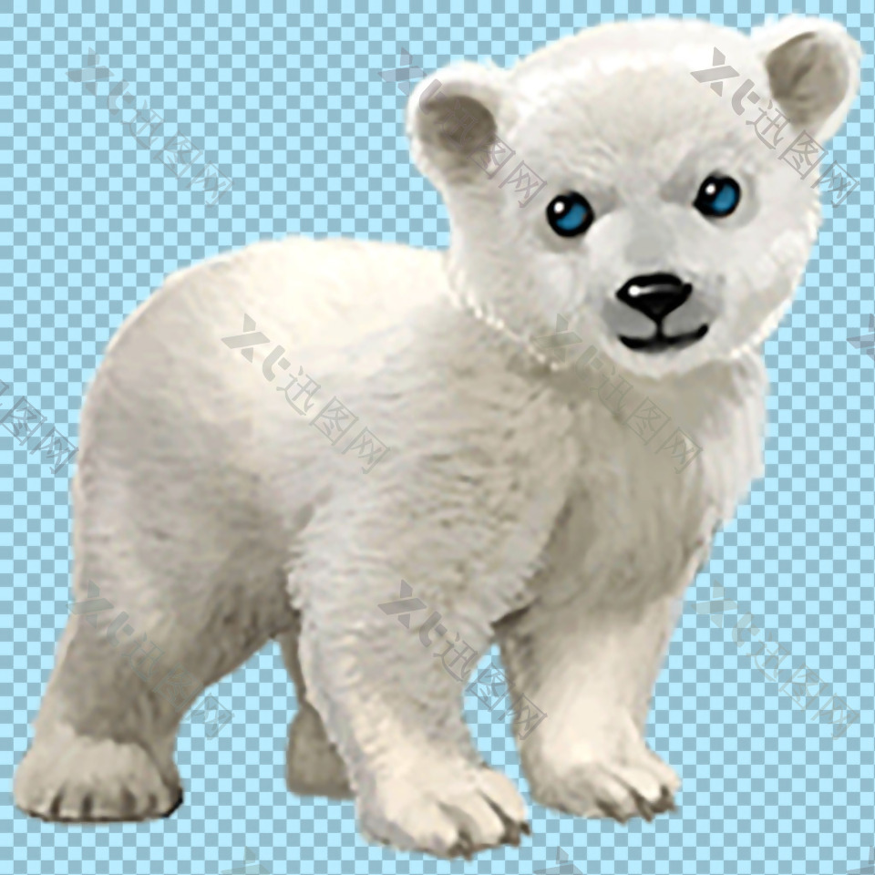 手绘可爱小北极熊免抠png透明图层素材