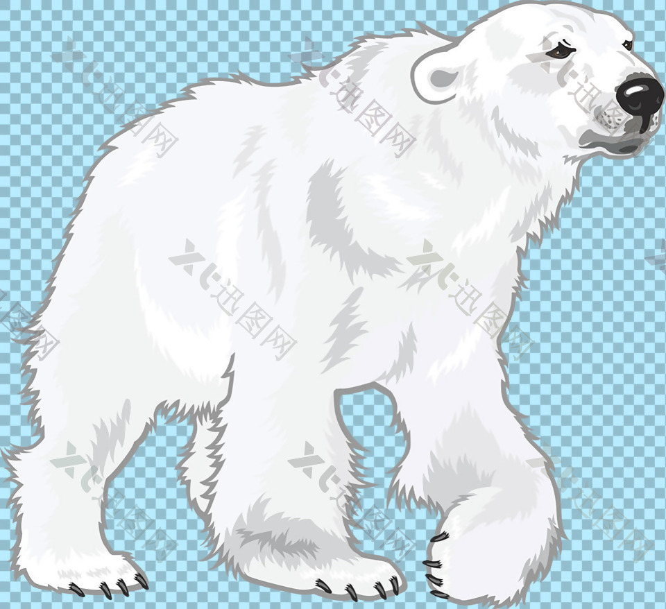 手绘白色北极熊免抠png透明图层素