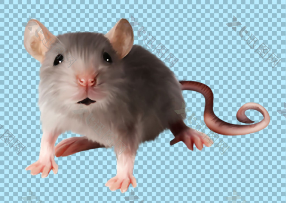 可爱的小老鼠免抠png透明图层素材
