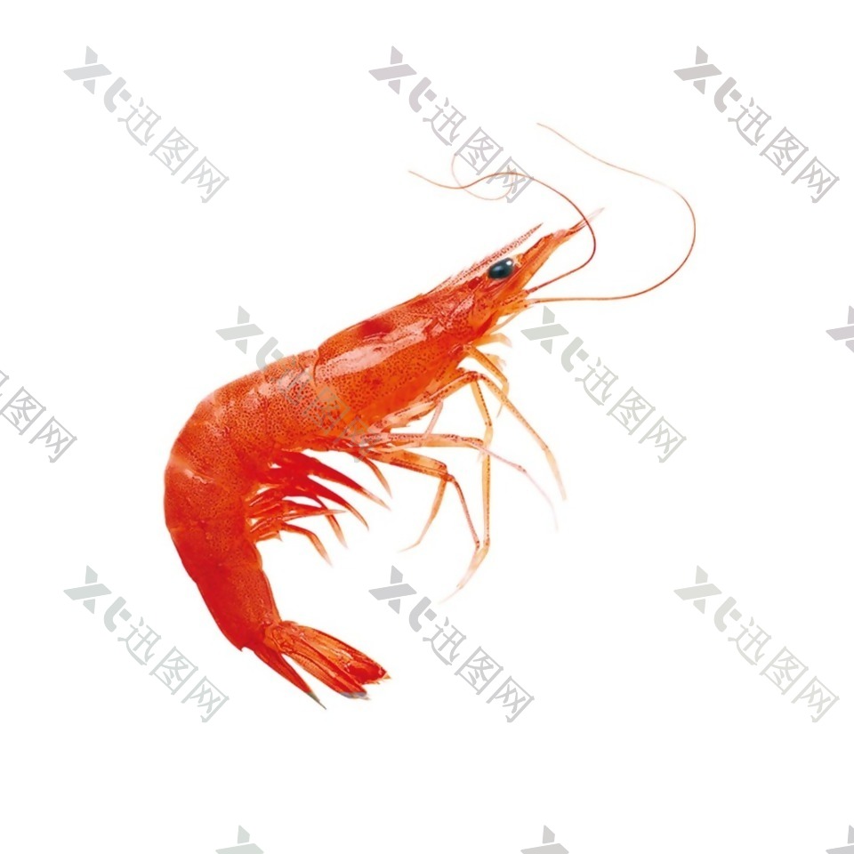红色海鲜小龙虾元素