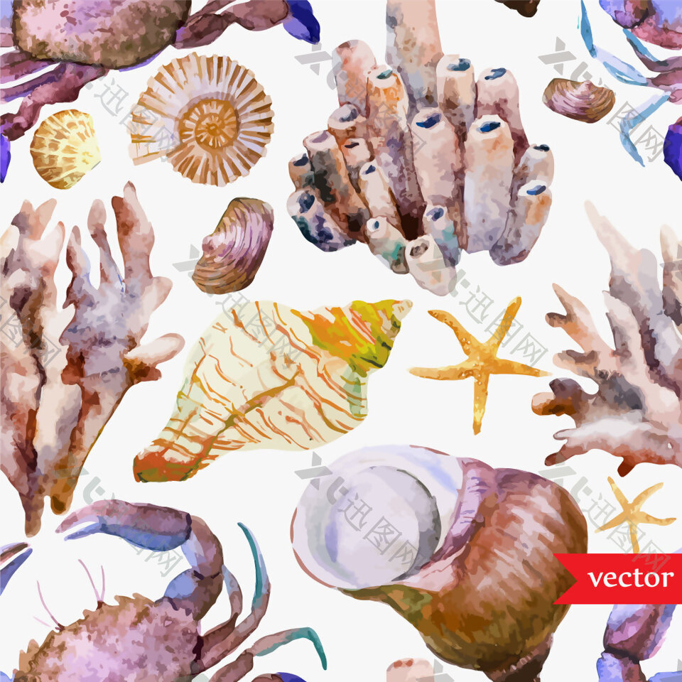 海螺水彩夏日海洋动物元素