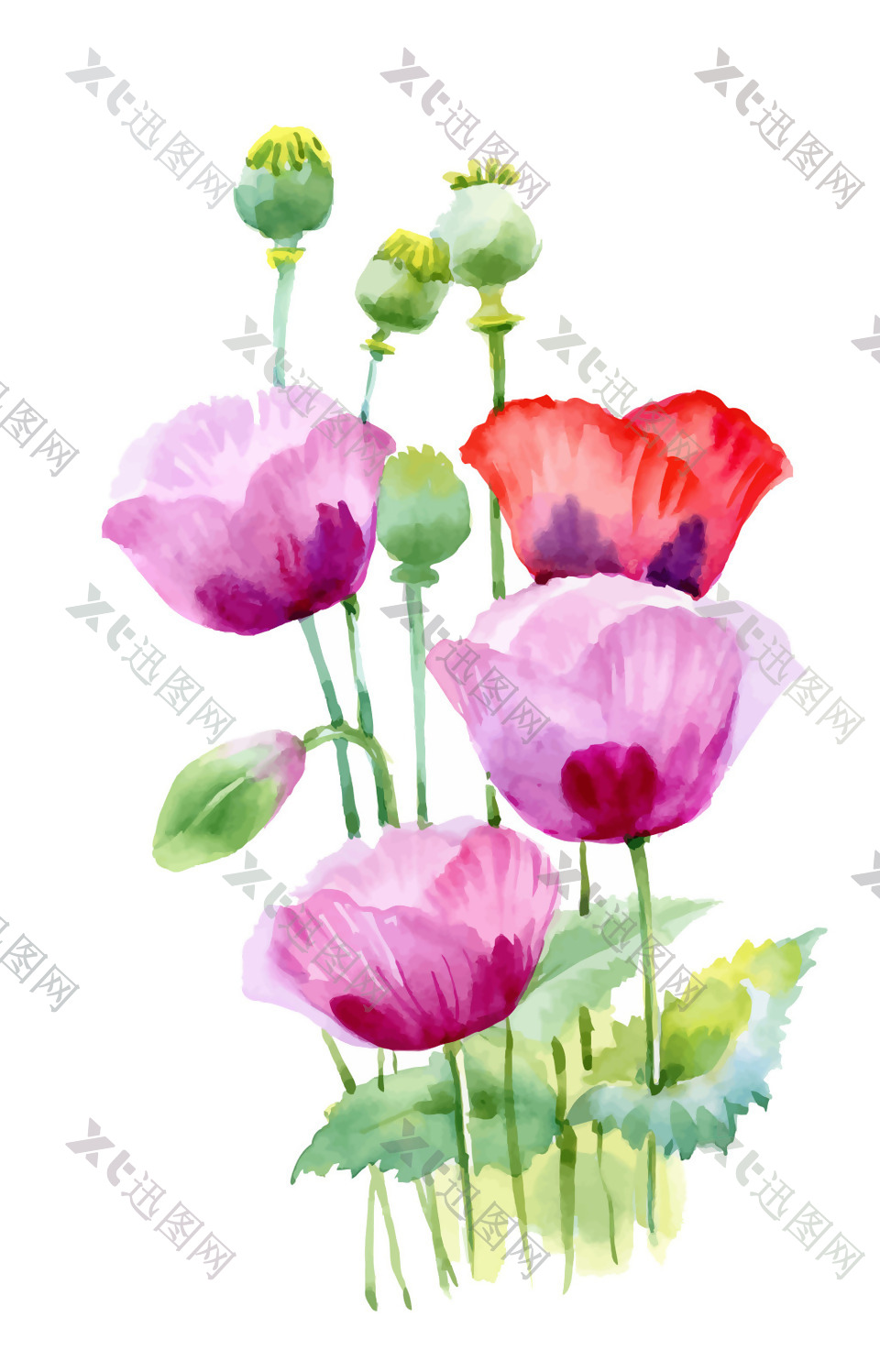 粉色花朵植物花朵水彩手绘矢量文件