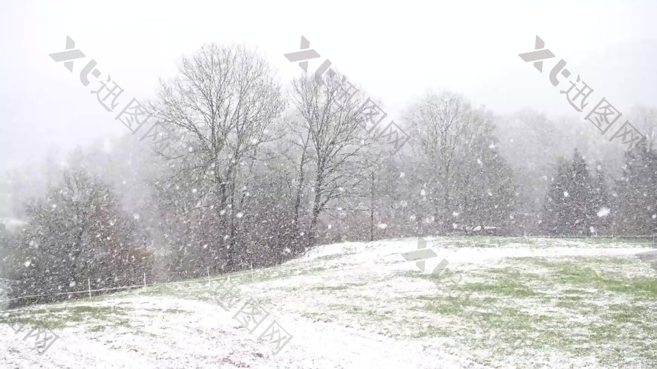 雪景树木风景视频素材