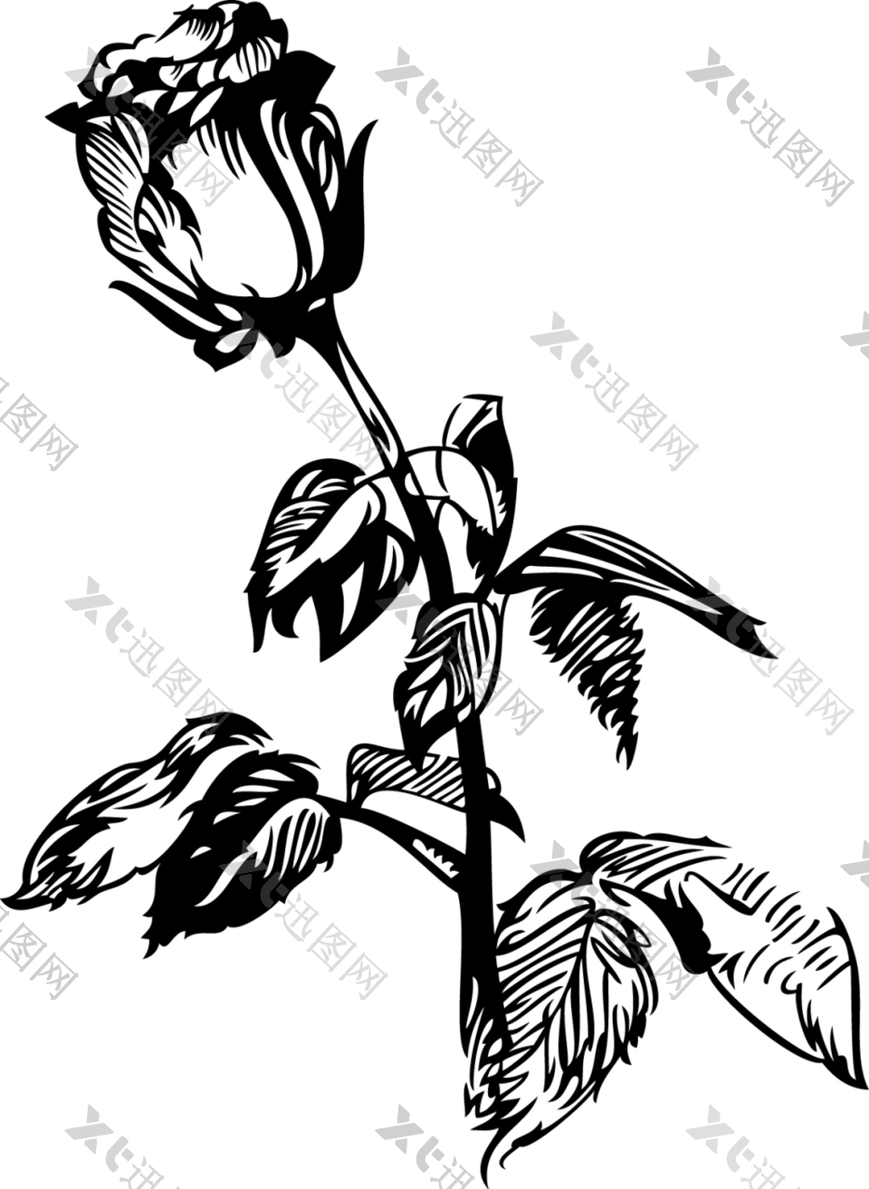 黑白手绘玫瑰花图案插画