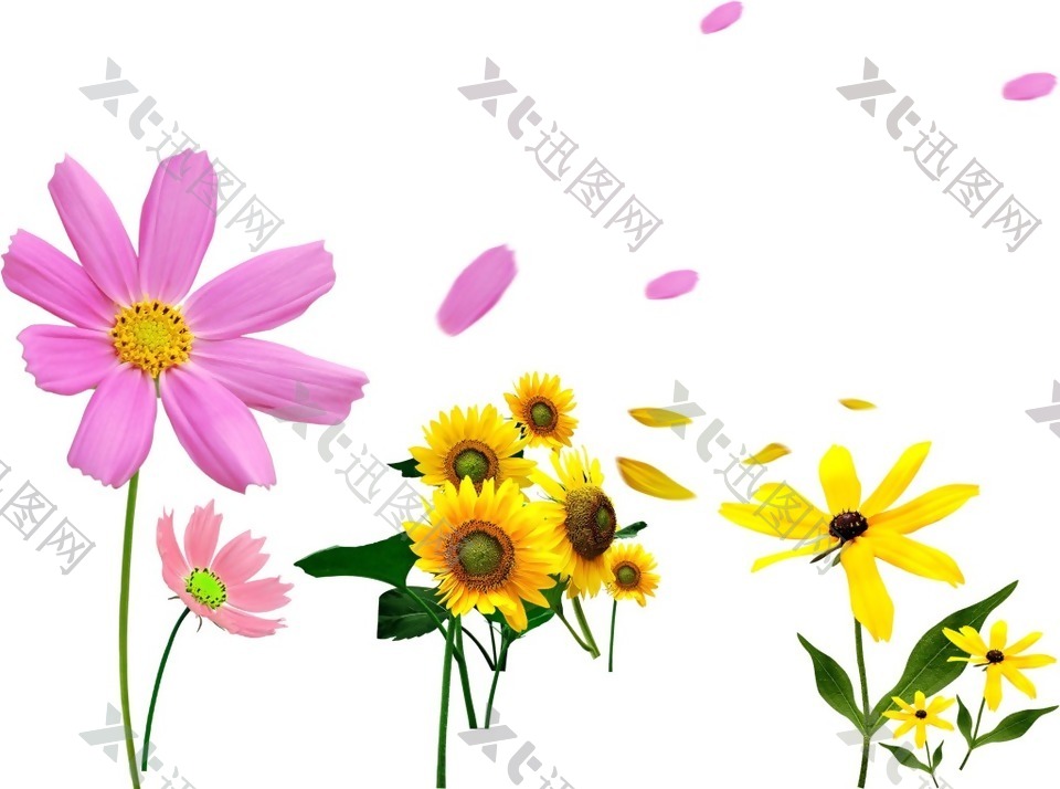 手绘彩色花朵元素