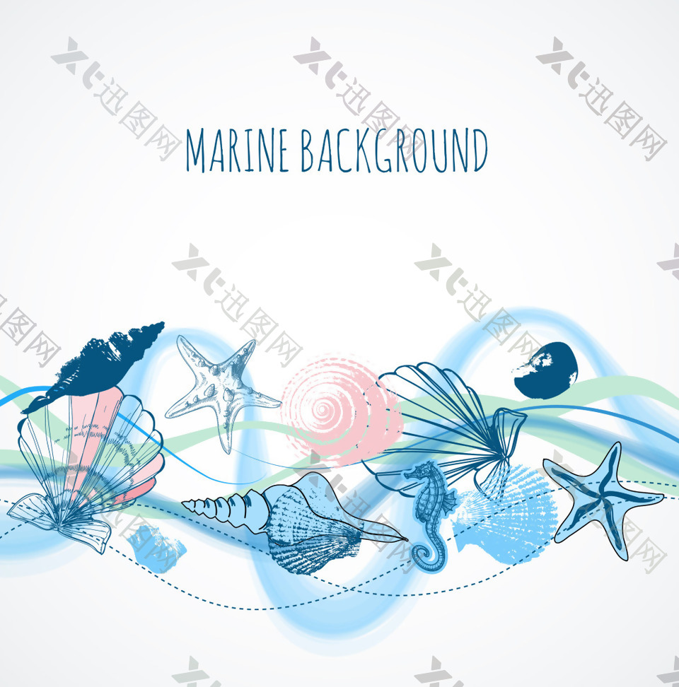 水彩绘海洋贝壳插画