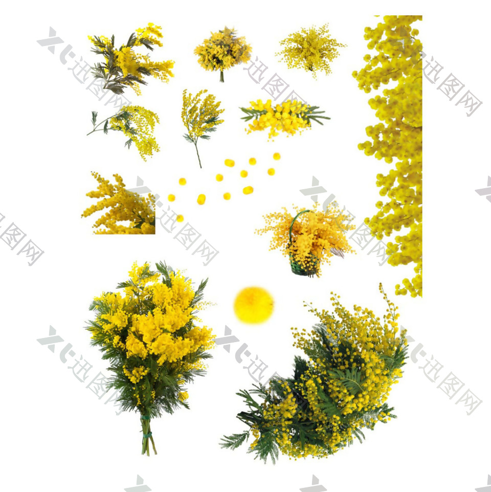 黄色花朵png免扣元素