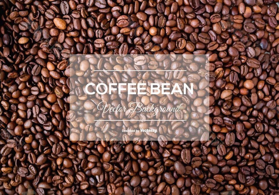 咖啡豆矢量素材