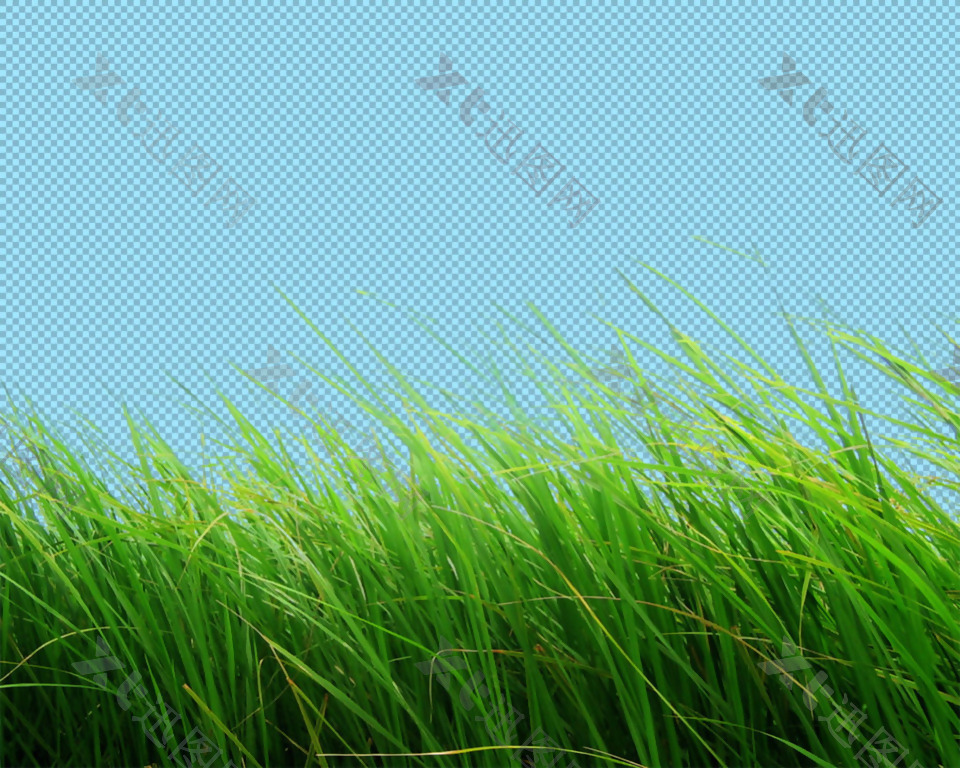 绿色草丛免抠png透明图层素材