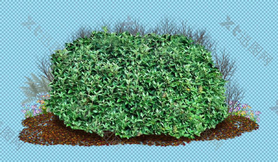 小灌木丛免抠png透明图层素材