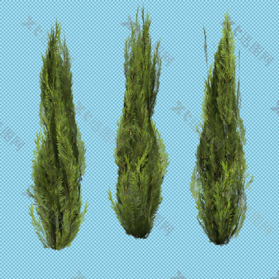 绿色灌木免抠png透明图层素材