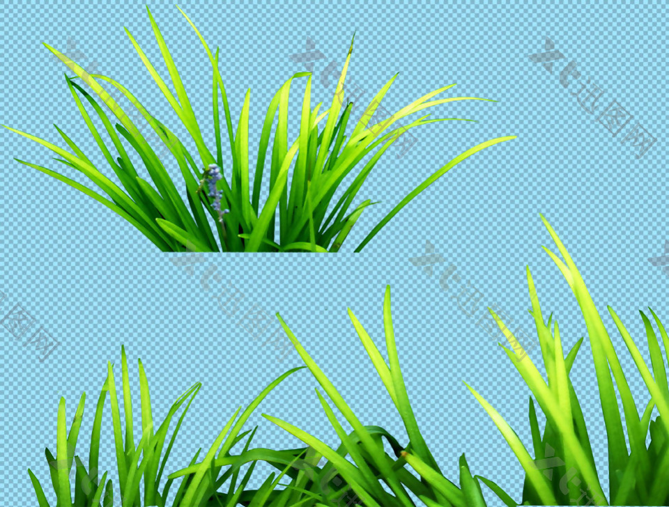 漂亮绿草免抠png透明图层素材