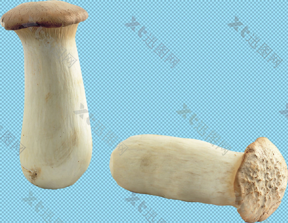 杏鲍菇蘑菇免抠png透明图层素材