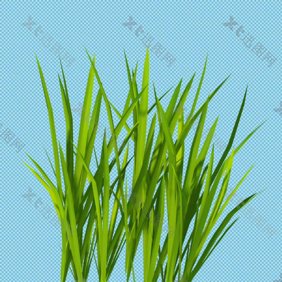 新鲜绿草免抠png透明图层素材