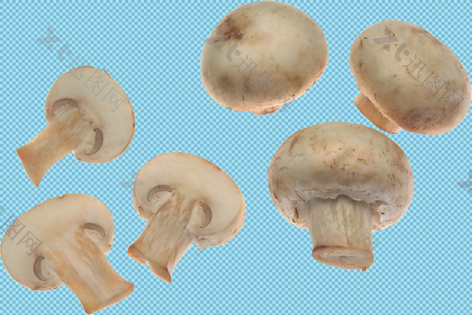 6个蘑菇免抠png透明图层素材