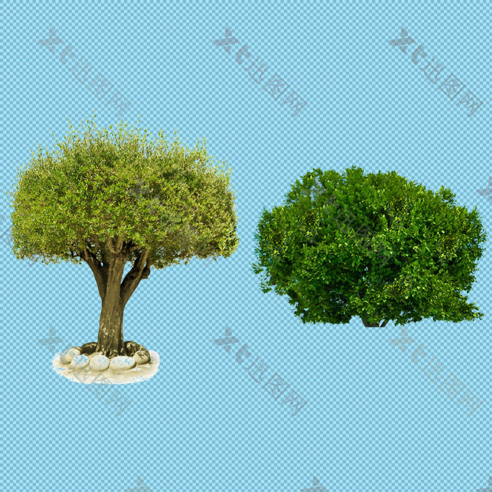 ；两棵绿色的树免抠png透明图层素材