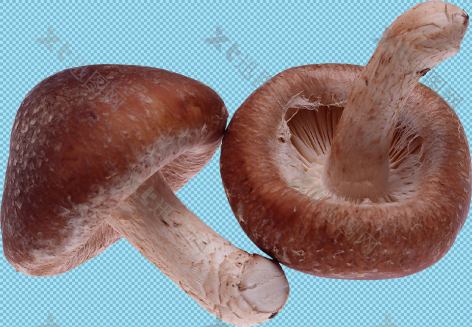 两个蘑菇免抠png透明图层素材