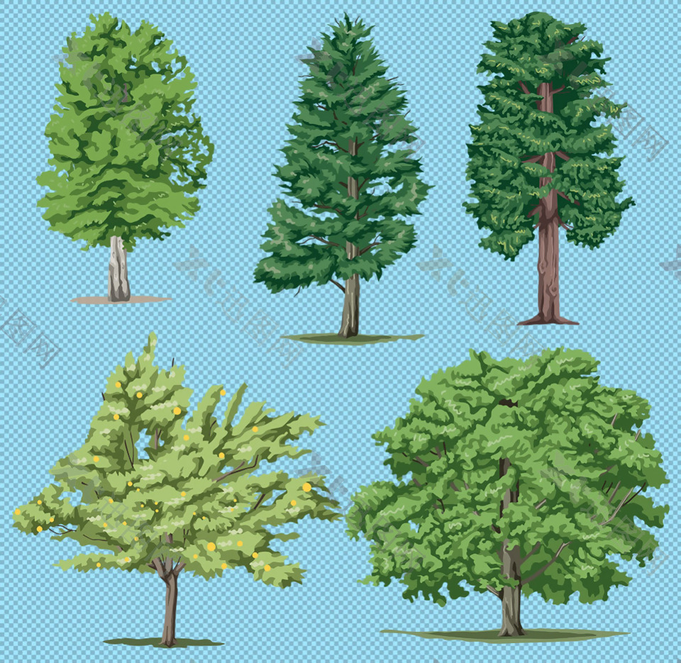 5棵绿色大树免抠png透明图层素材