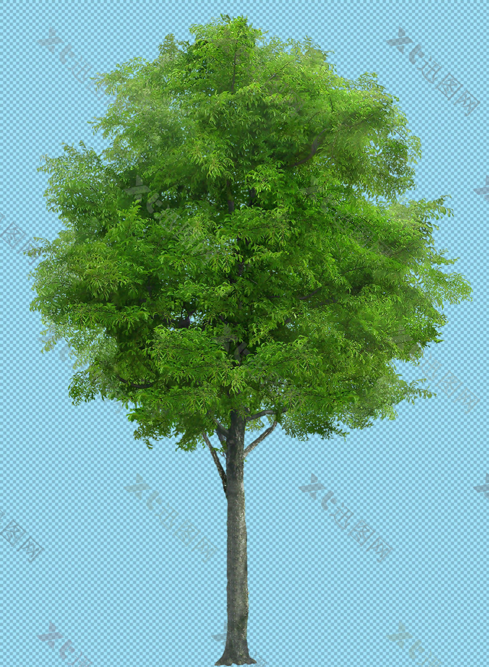 漂亮绿树免抠png透明图层素材