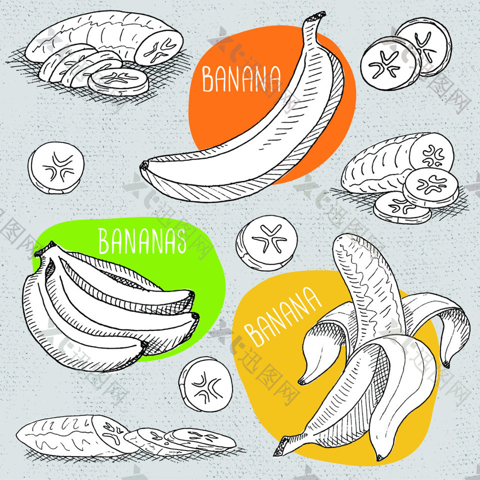 白色素描香蕉矢量图