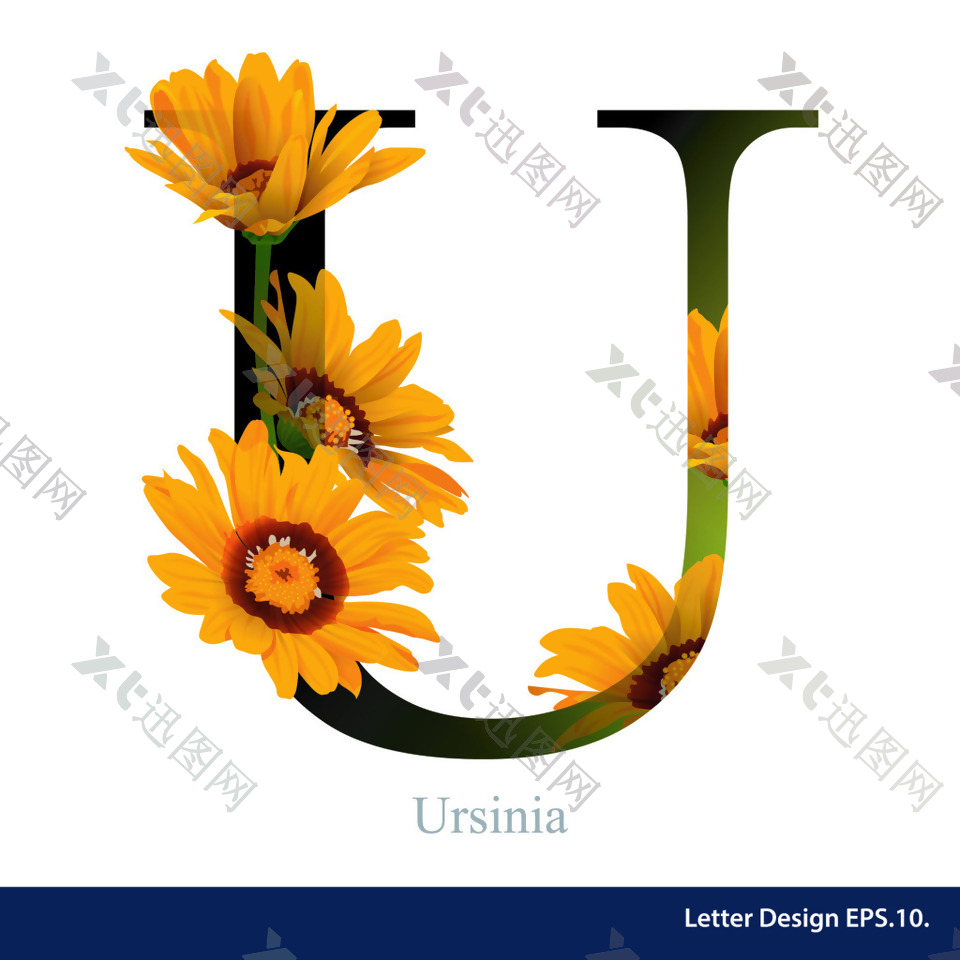 热带花卉向日葵英文字母字体设计