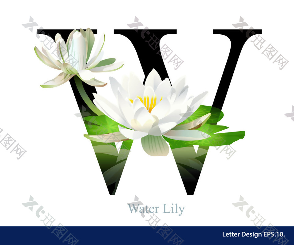 花卉英文字母w字体设计
