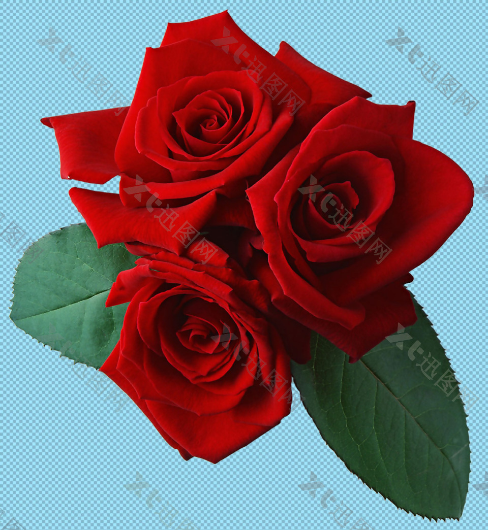 三朵红玫瑰免抠png透明图层素材