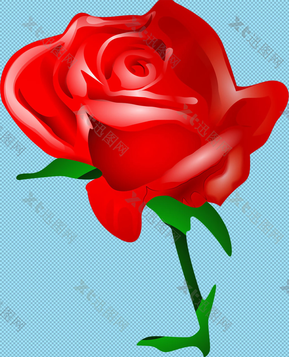手绘漂亮红玫瑰免抠png透明图层素材