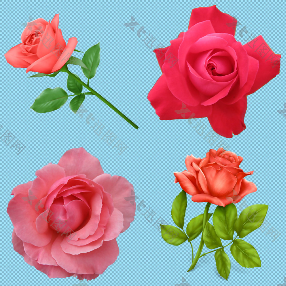 四支红玫瑰免抠png透明图层素材
