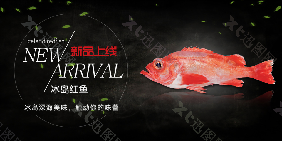 红鱼网页banner