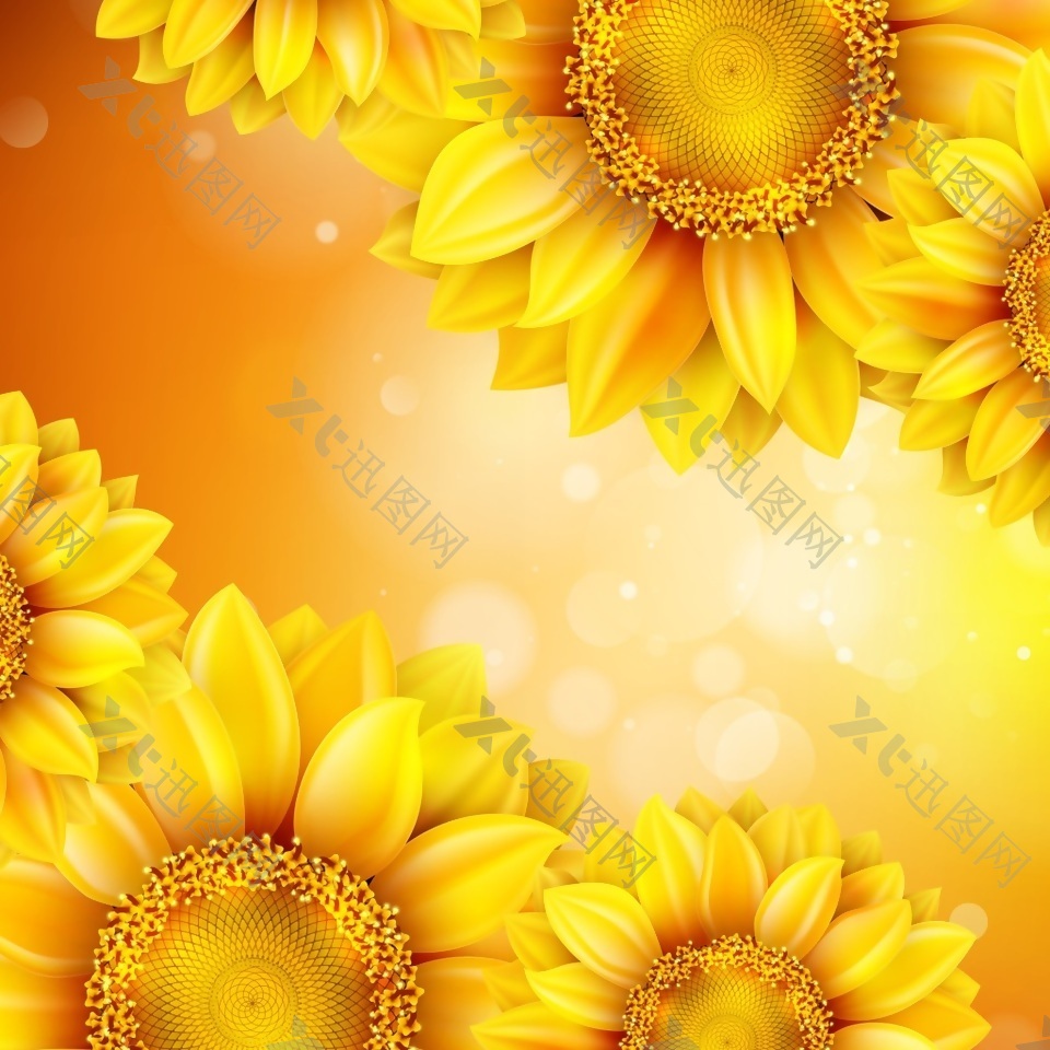 水彩向日葵花朵金色背景纹理素材