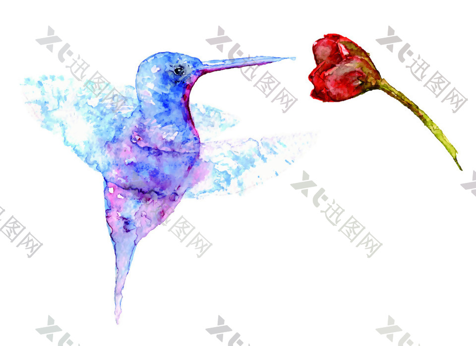 水彩画创意花与鸟矢量装饰图案