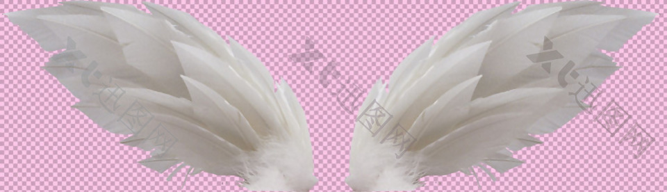 漂亮的白色翅膀免抠png透明图层素材