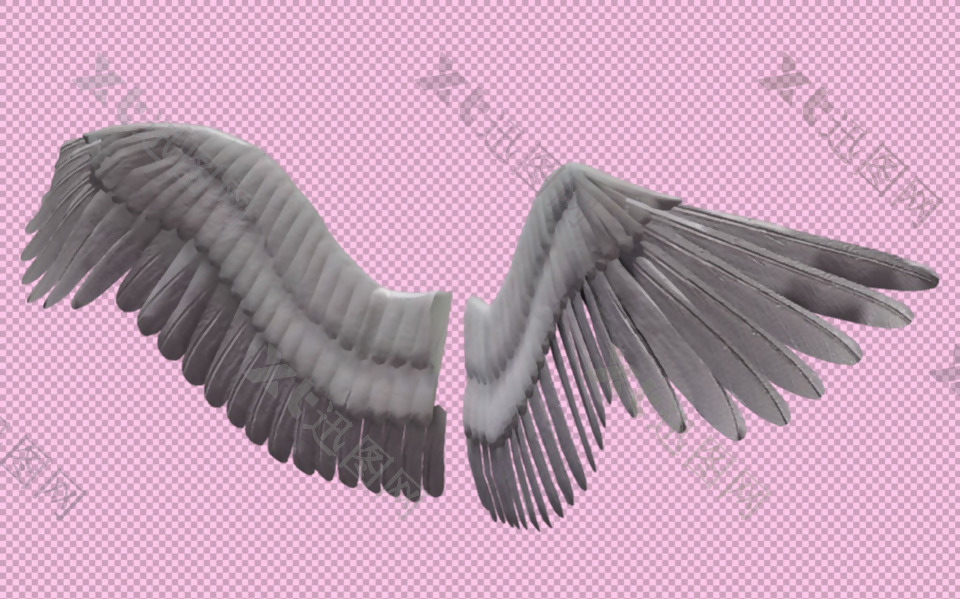 两个翅膀免抠png透明图层素材