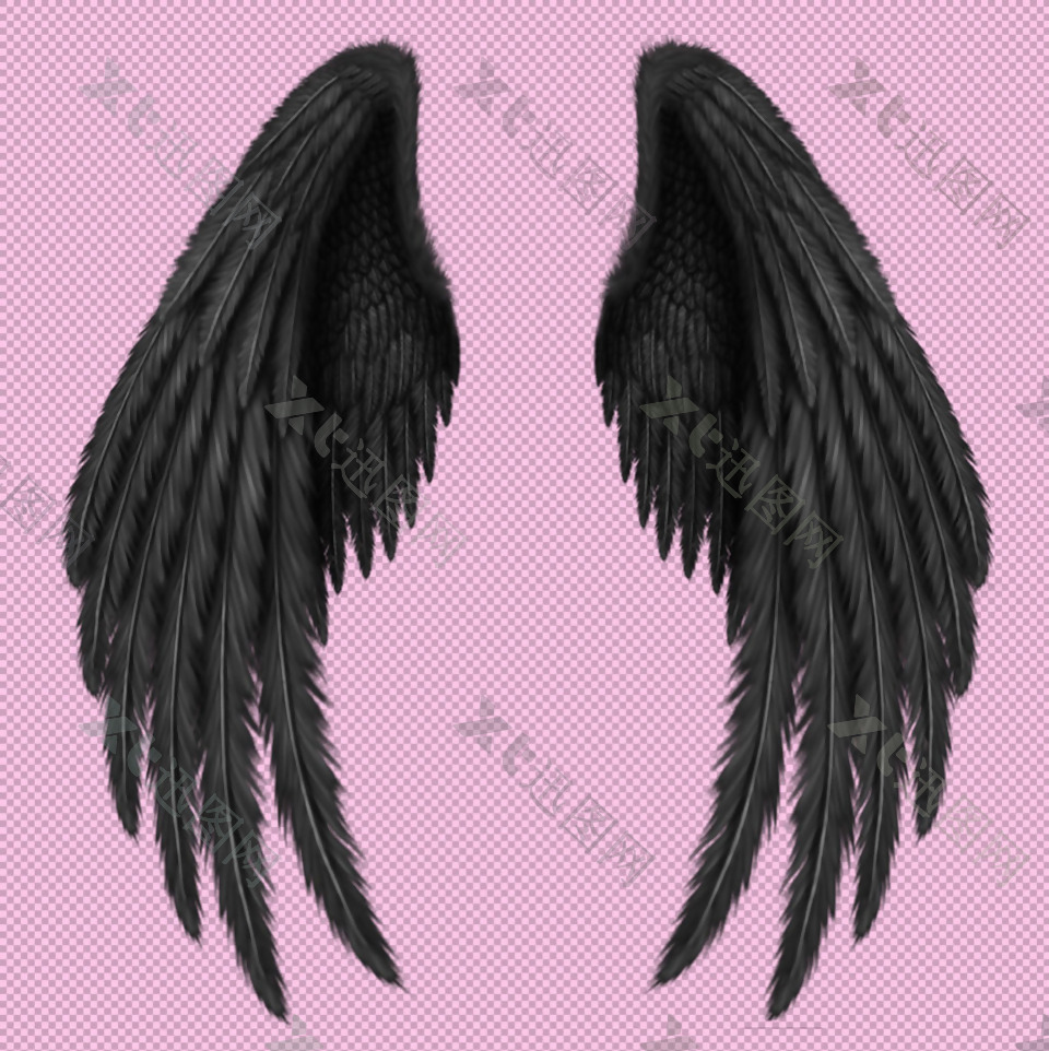 一双黑色的翅膀免抠png透明图层素材