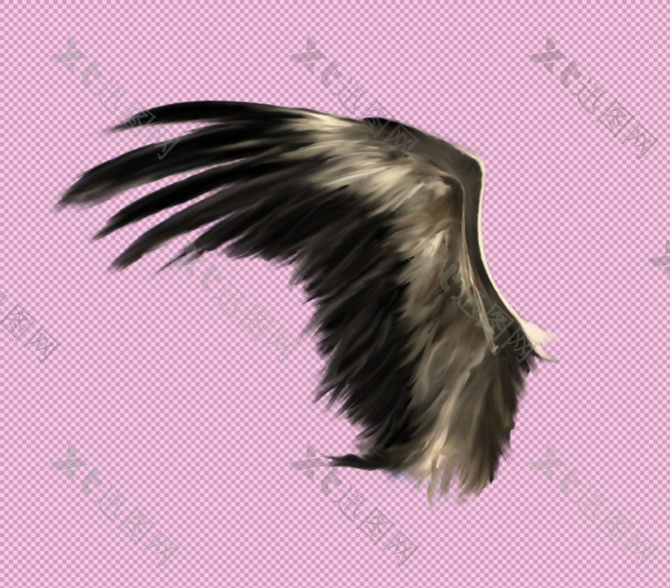黑色羽毛翅膀免抠png透明图层素材