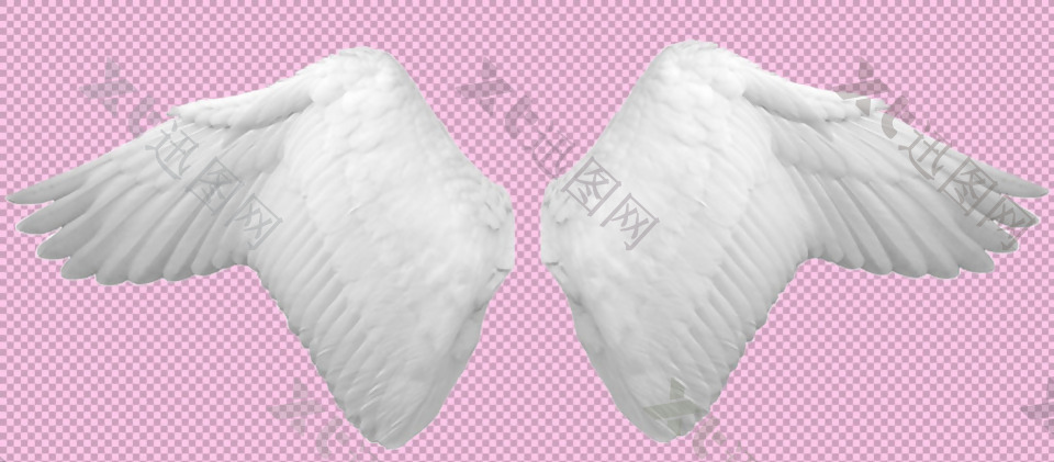 白色羽毛翅膀免抠png透明图层素材