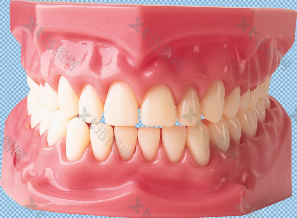牙龈牙齿免抠png透明图层素材