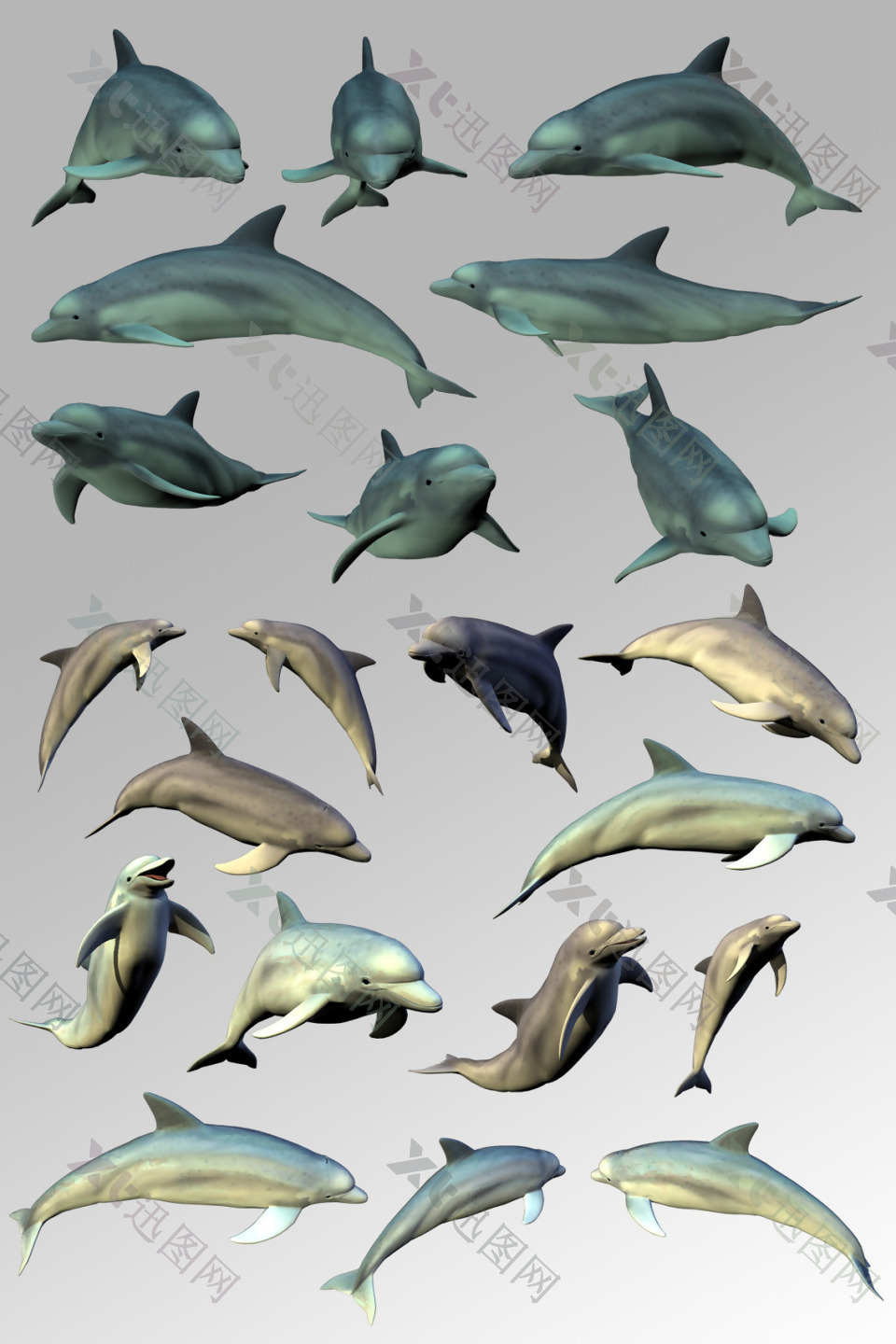 一组活泼可爱的海豚海洋生物元素素材