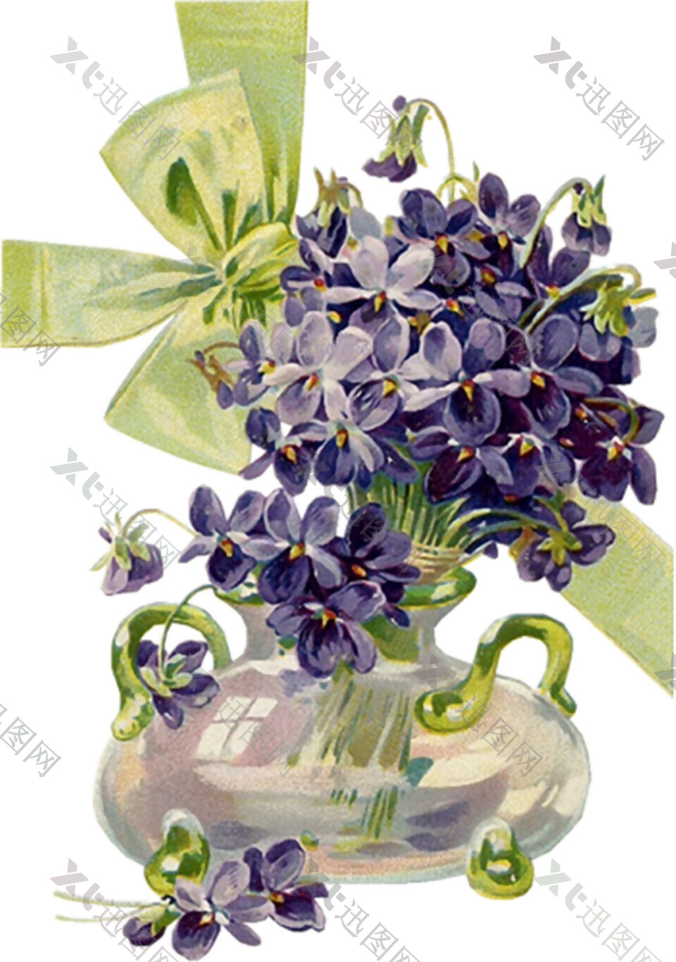 紫色鲜花花朵素材图片
