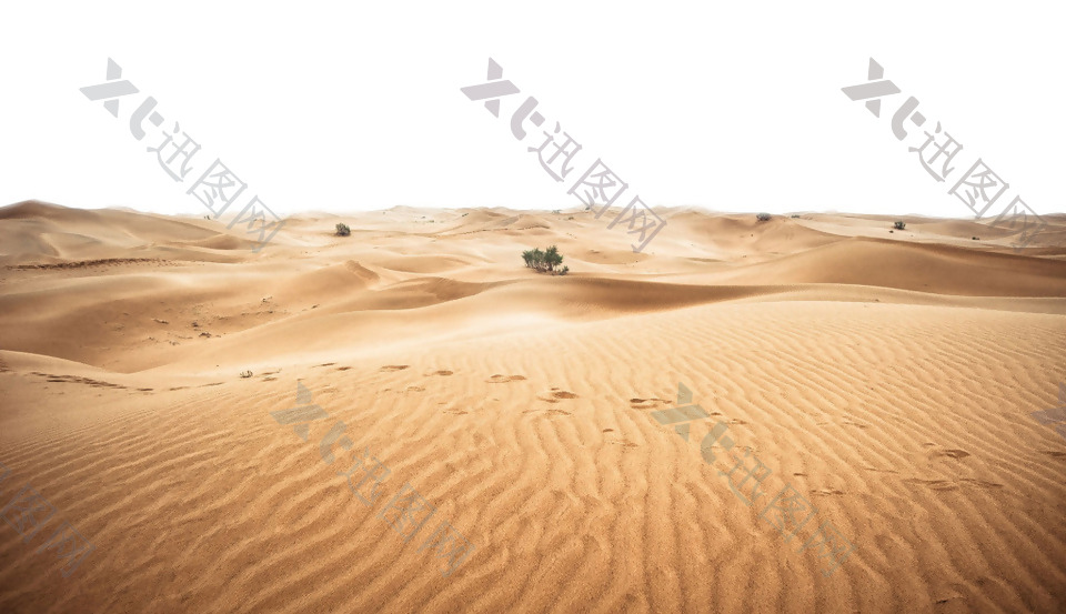 沙漠干涸行走元素