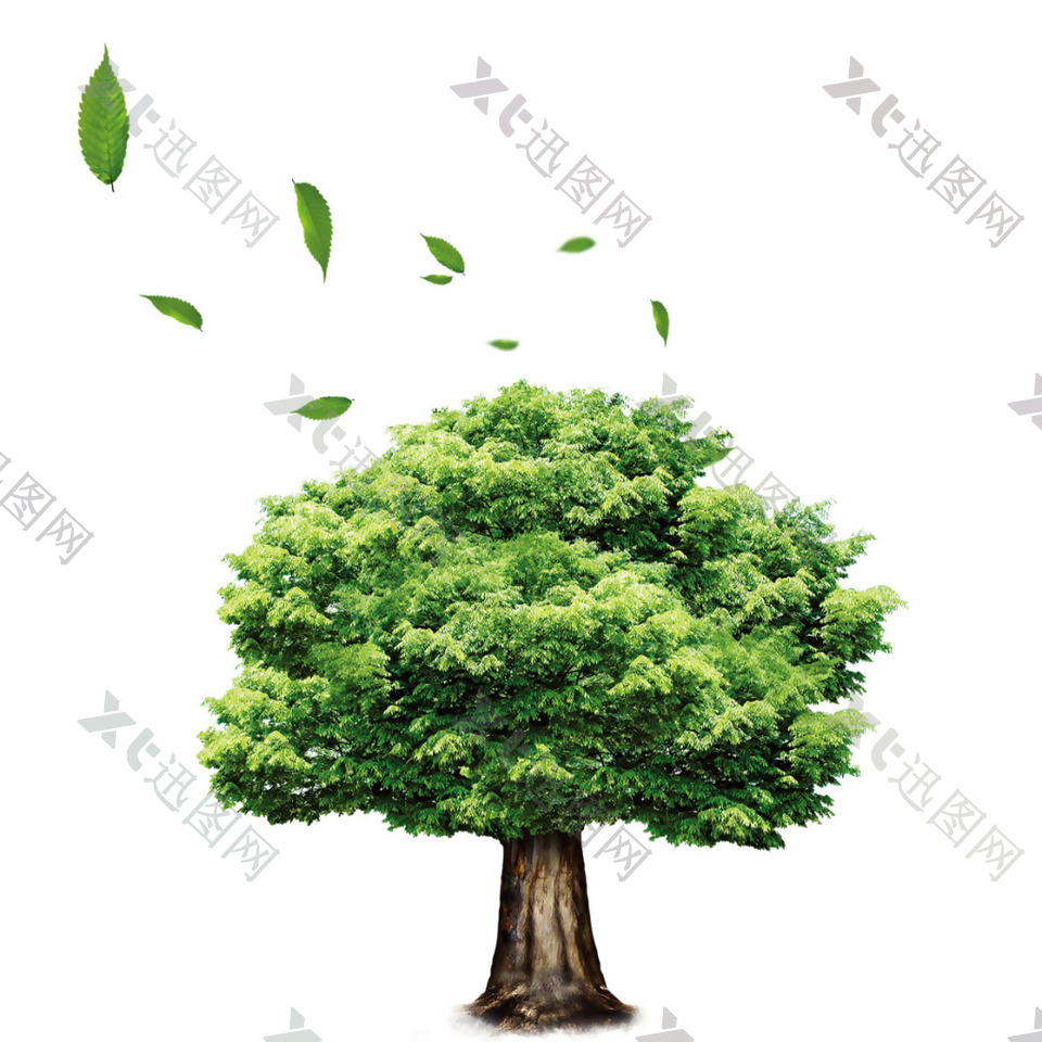 小清新绿色大树元素