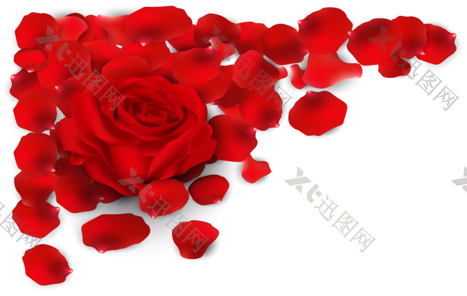 红色浪漫梦幻玫瑰花瓣png元素素材