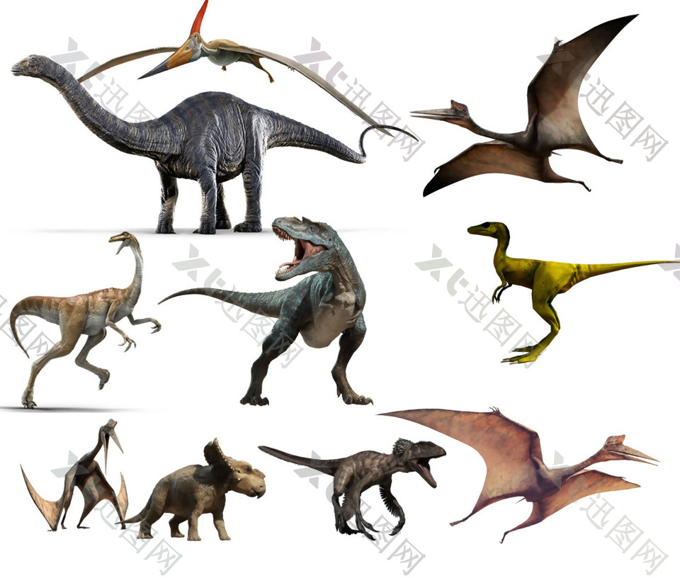 恐龙动物png元素素材