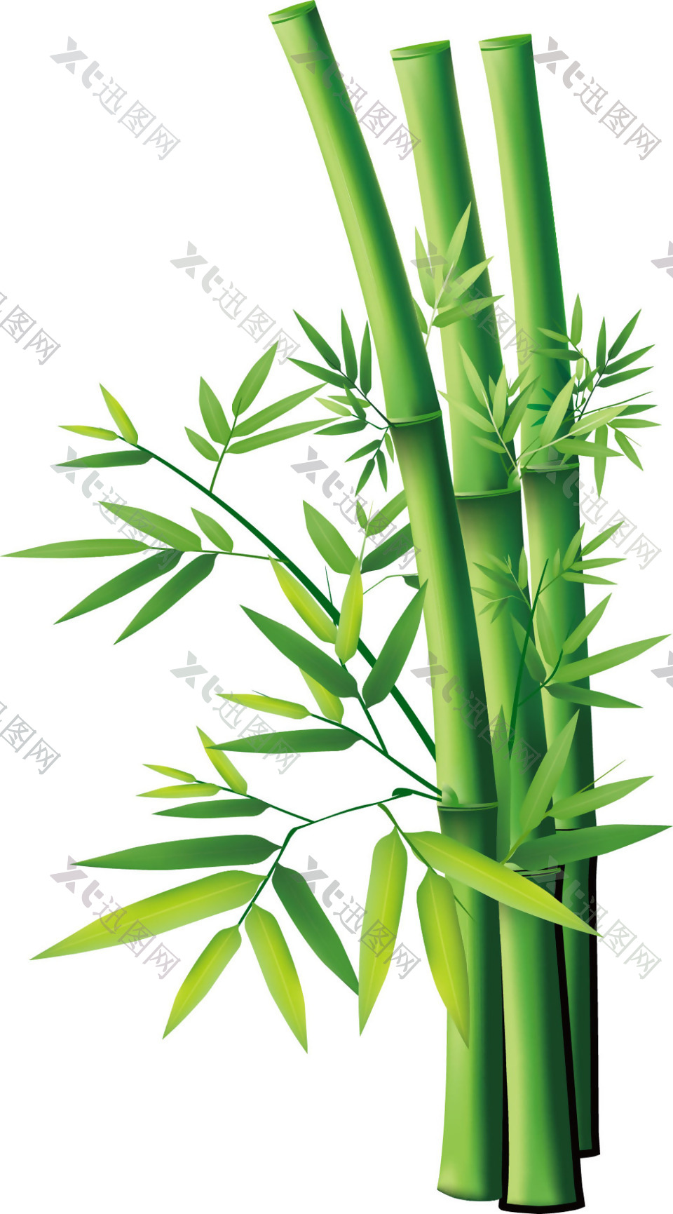 手绘绿色竹子元素