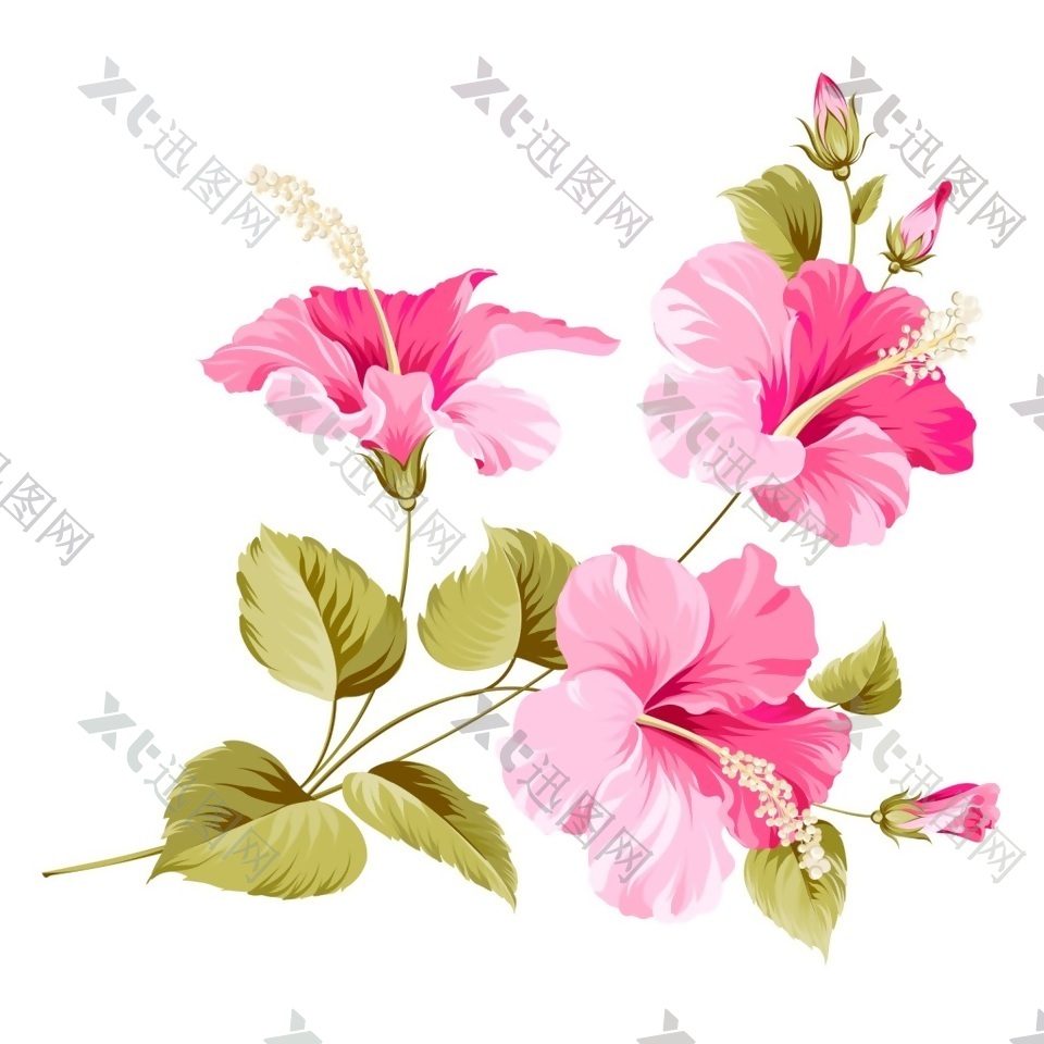 粉色花卉矢量素材