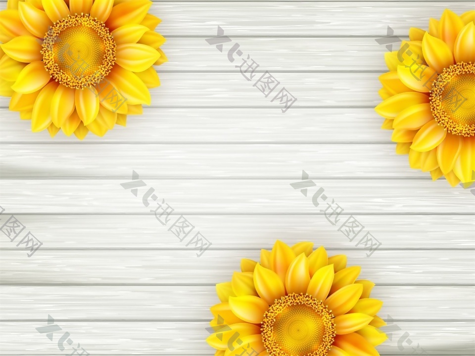 三朵向日葵白色木板背景矢量素材