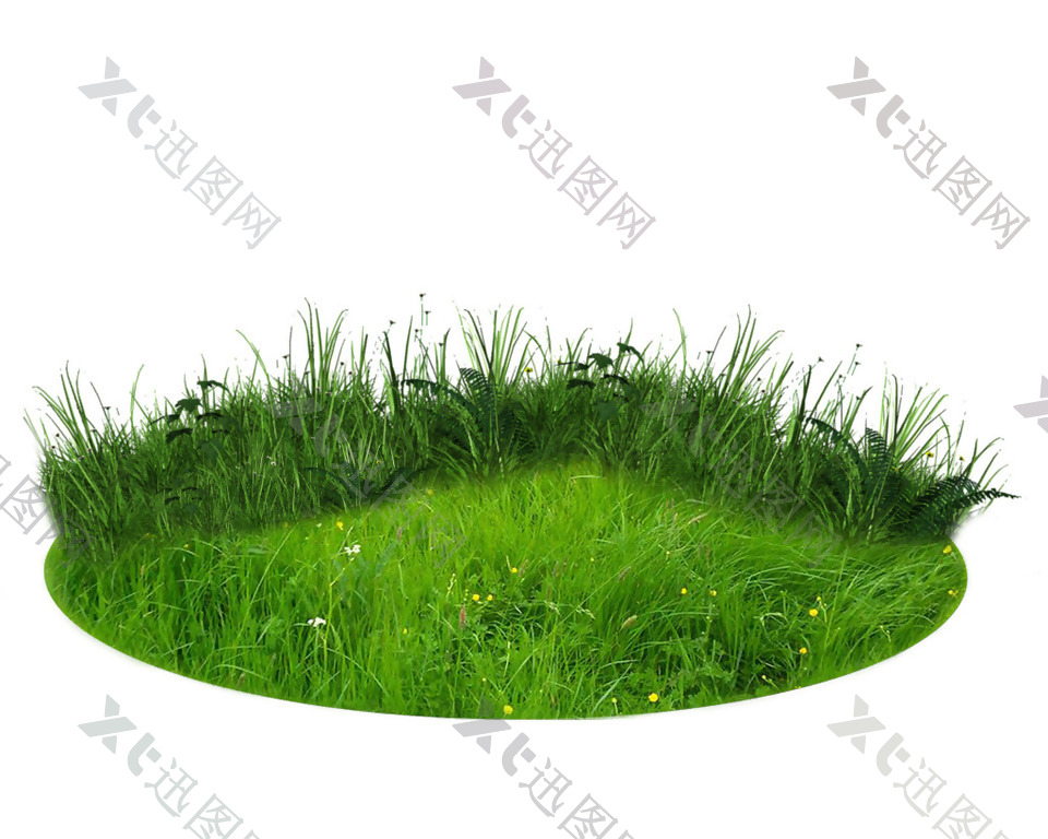 小清新绿色草坪元素