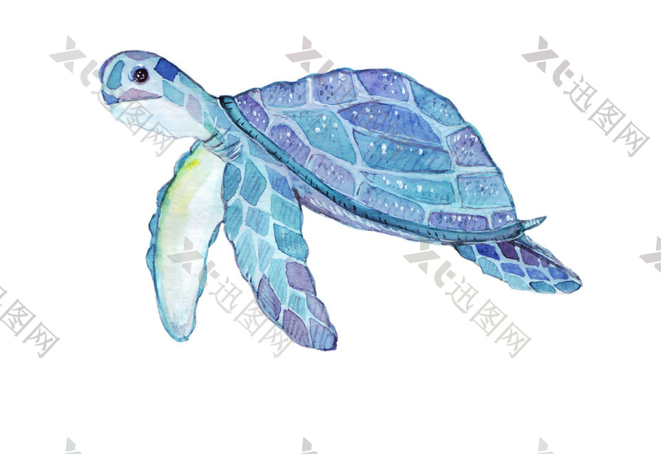 创意海龟水彩矢量素材