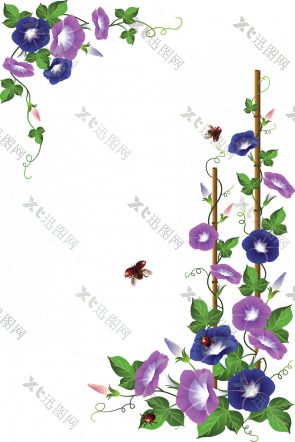 蓝紫色牵牛花藤萝装饰图
